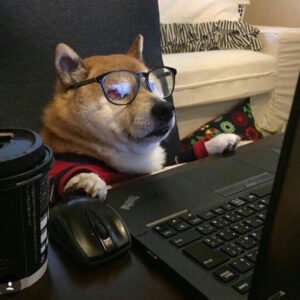 Trabalhos Online