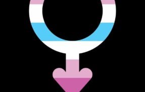 Chats trans/cdzinhas/ ladyboy