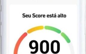 Subir Score Serasa