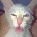 💫💜ⓂⒶⓇⓉⒺ💜💫