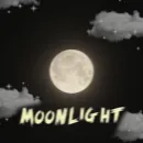 𝐌𝐨𝐨𝐧𝐋𝐢𝐠𝐡𝐭 🌙