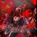 Spider chat