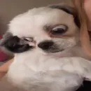 oi amiguinhos