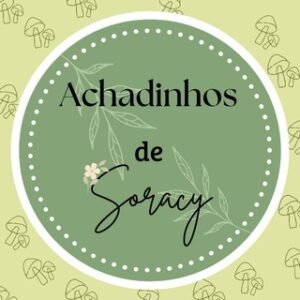 Achadinhos de Soracy🛍