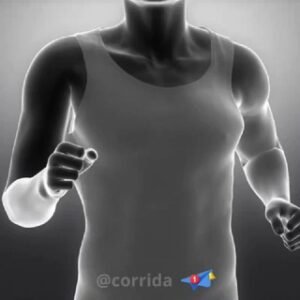 Corrida