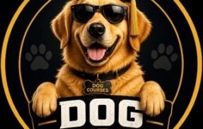 DOG COURSES