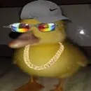 Vem ser feliz