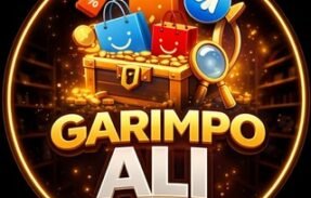 Garimpo Ali