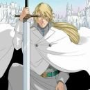 Kingdom of the Animes Verificação ✅