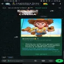 Brawlzoera