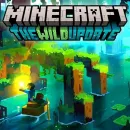 Servidor para minecraft