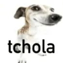 Fundadores da Resenha