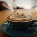 Café ofertas ☕