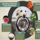 Roni variedades