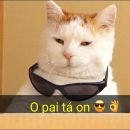 SHITPOST DA ZUEIRA (◠‿◕)👌
