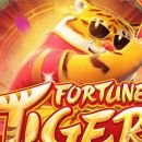 SLOT DA SORTE TIGRE 🔥😍💰