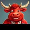 Bull Promoções