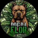 Dog da flor