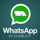 Amor crente