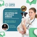 Medicina veterinária