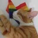 Grupo LGBT NEW
