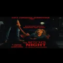 THE BITCH’S NIGHT