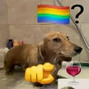 LGBTS SEMPRE ✊🏳‍🌈