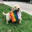 Conexão Colorida 🏳‍🌈