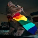 Mundinho LGBT 🏳️‍🌈