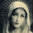 Maria Imaculada✝️🇻🇦☦️